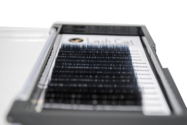 SILK D Curl Eyelash Extension 0.05, 0.07, 0.10, 0.15, 0.20 - Lash Cat