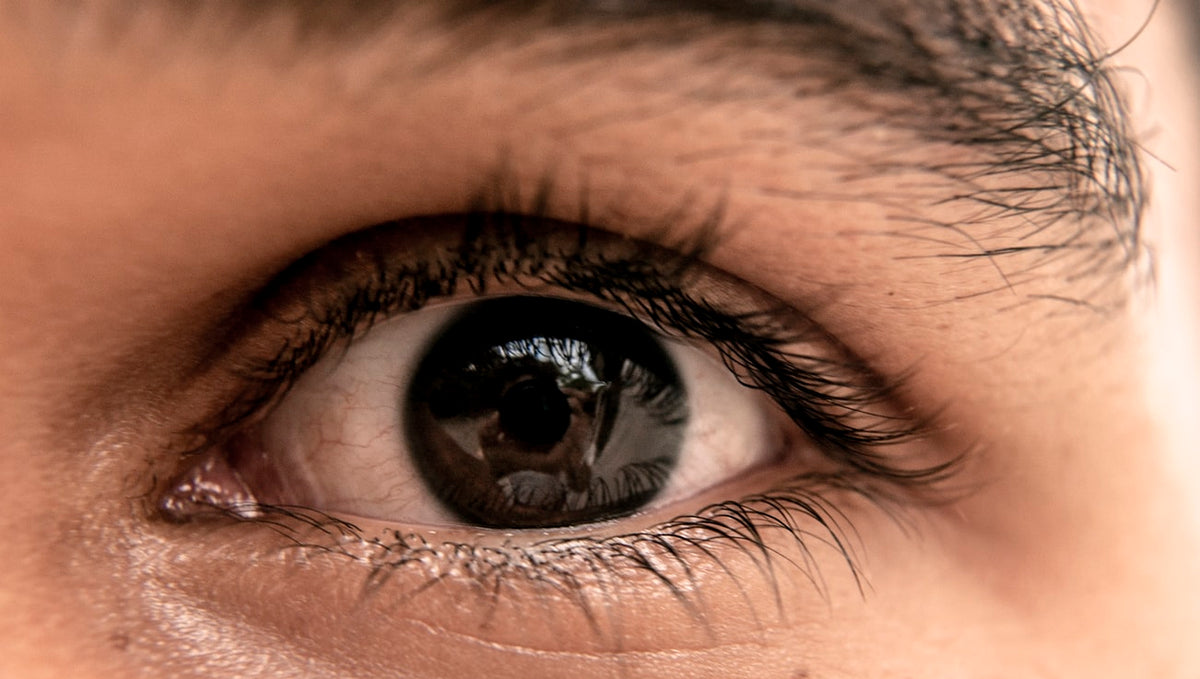 Taking Care of Your Natural Lashes