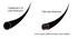 products/Screen_Shot_2019-08-22_at_8.38.14_PM.png