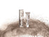 RefectoCil Tint Light Brown #3.1 15ml - Lash Cat